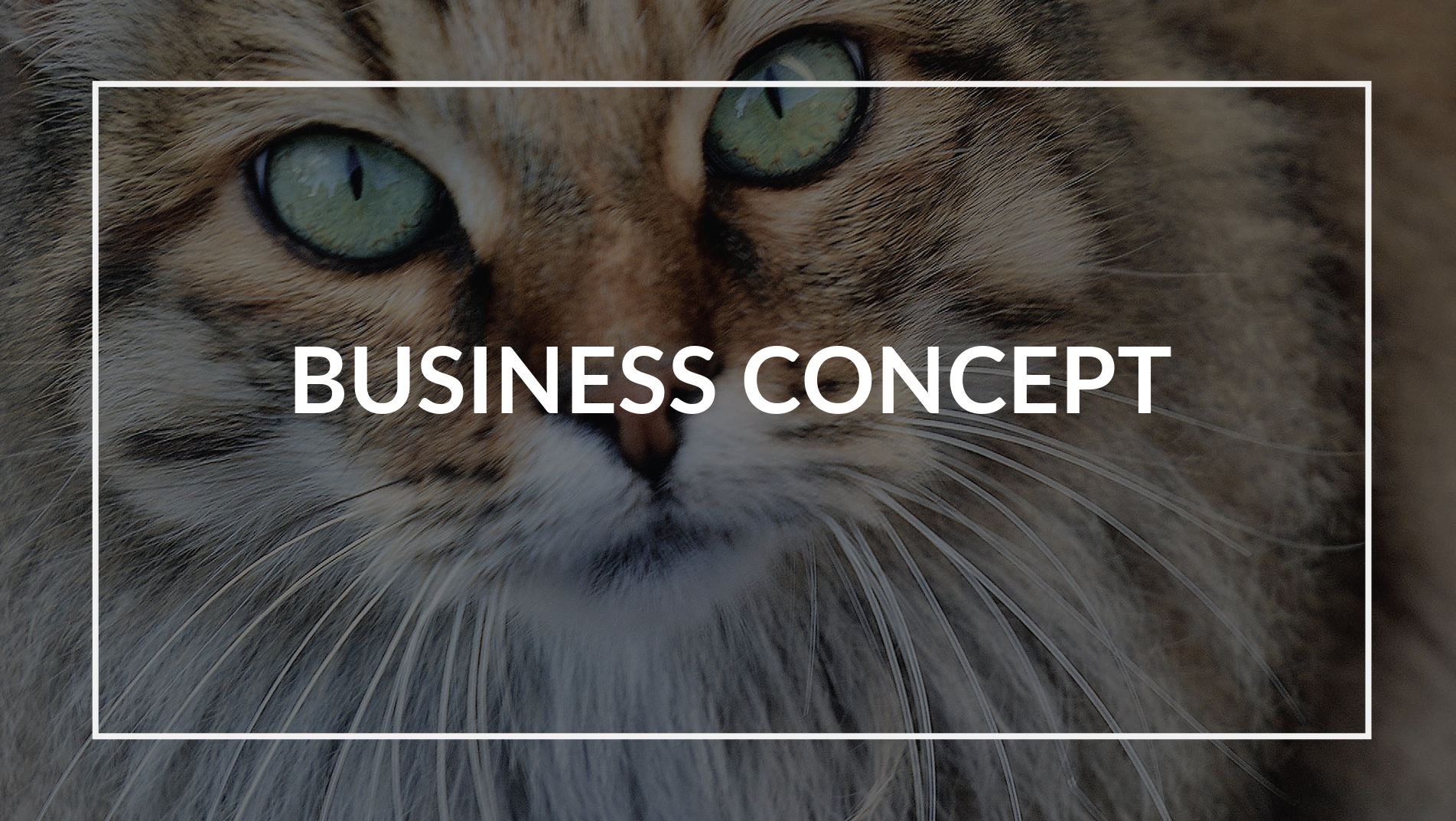 spay_la_business_concept